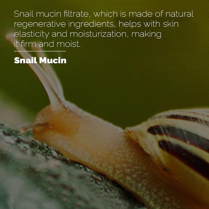 PRETTYSKIN Collagen BB Cream with Zinc Oxide & Titanium Dioxide – Lightweight Daily Korean BB Cream for Moisture Balance, Natural Coverage & Skin Comfort (1.69 fl.oz.)