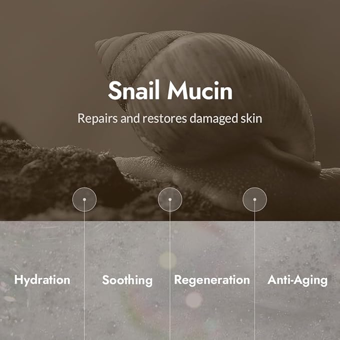 MIZON Snail Repair Intensive Toner Snail Mucin Hyaluronic Acid Adenosine Centella Asiatica Moisturizer Fine Line Treatment Safe Formula Korean Skincare (3.38 fl oz)