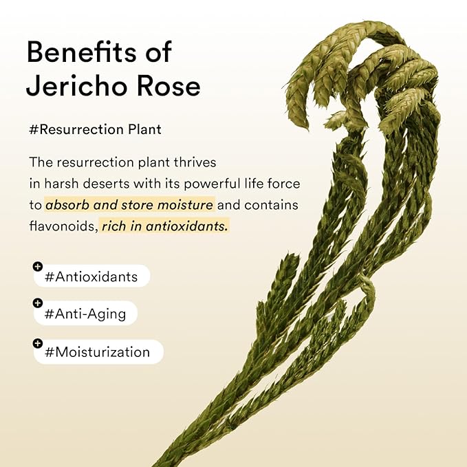 Abib Collagen Eye Patch Jericho Rose Jelly 60 Patches, Korean Under Eye Patches for Puffy Eyes and Dark Circles, Anti-Wrinkle, Collagen, Caffeine, Niacinamide, Ceramide, Antioxidant, Skin Care